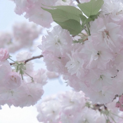 Furry插画构图解析干货兽圈社群